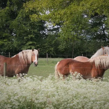 Amberhoeve * Schorisse